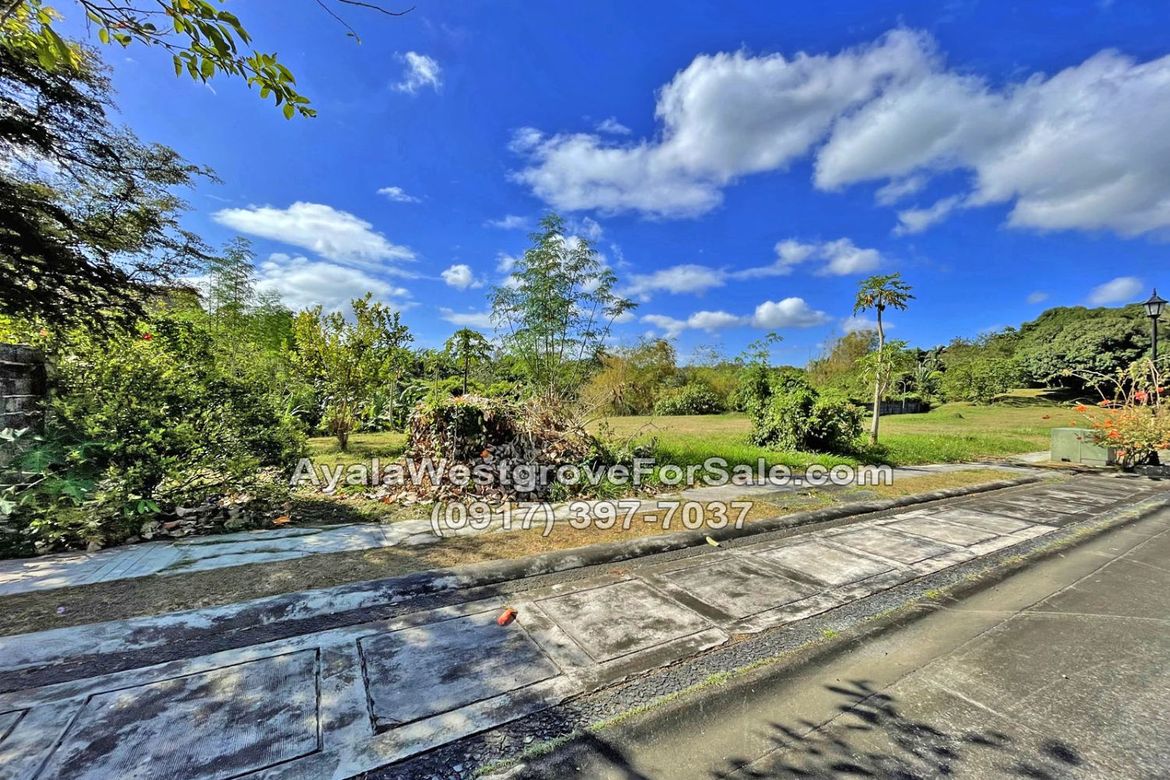 Land for Sale in Ayala Westgrove Heights, Inchican, Silang, Cavite – photo 3