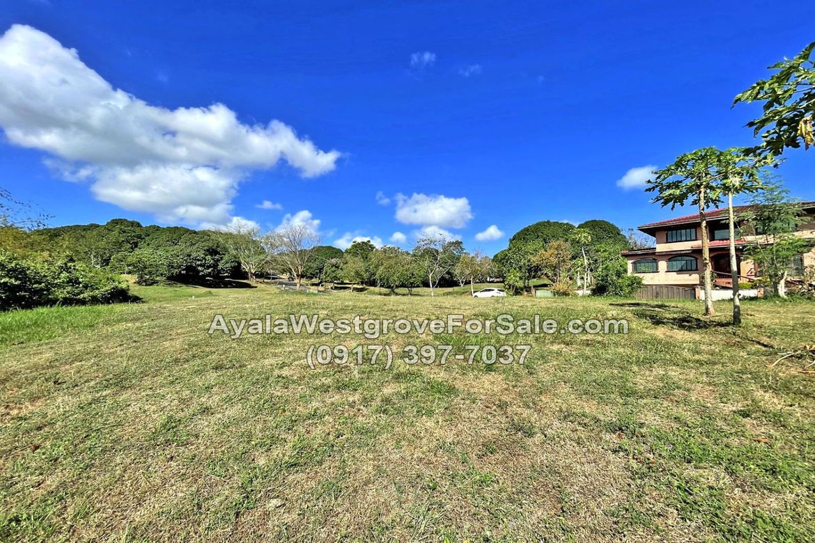 Land for Sale in Ayala Westgrove Heights, Inchican, Silang, Cavite – photo 5