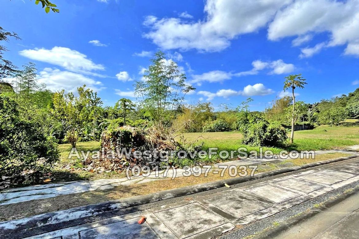 Land for Sale in Ayala Westgrove Heights, Inchican, Silang, Cavite – photo 8