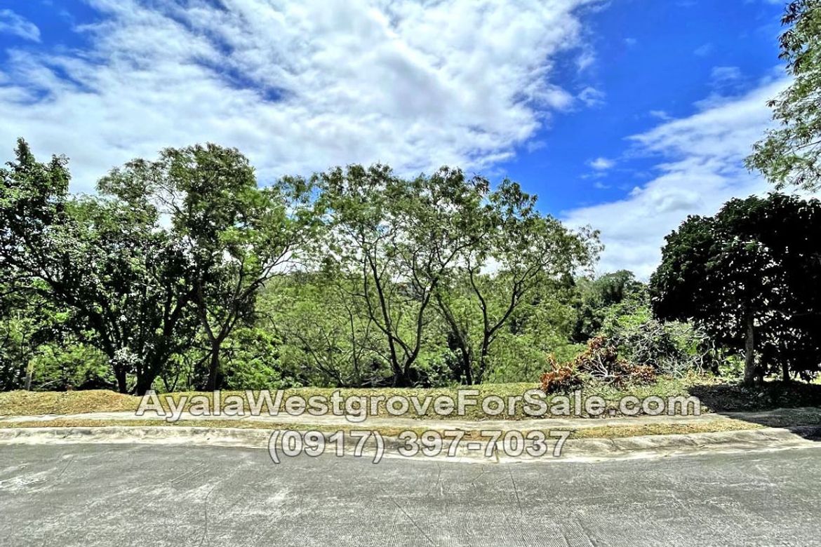 Land for Sale in Ayala Westgrove Heights, Inchican, Silang, Cavite – photo 3