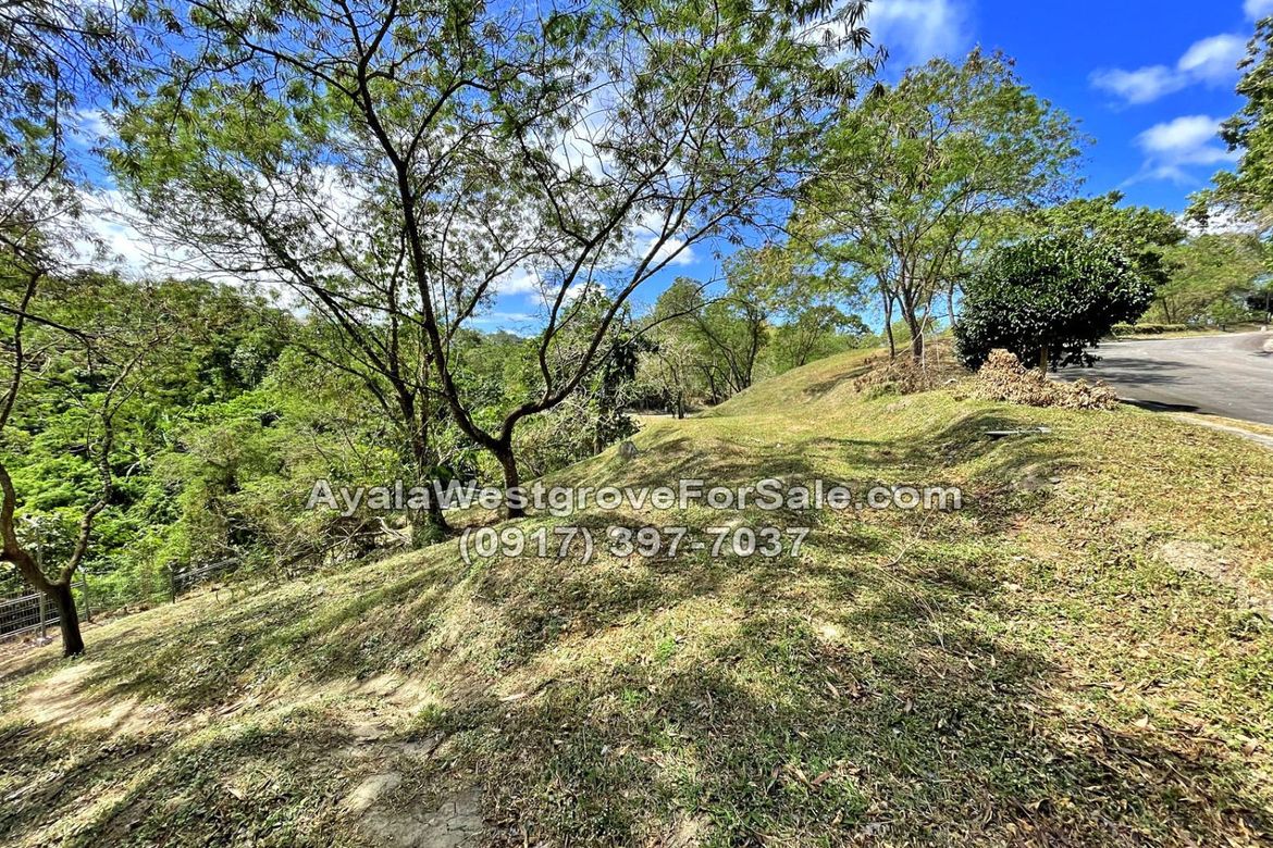 Land for Sale in Ayala Westgrove Heights, Inchican, Silang, Cavite – photo 5