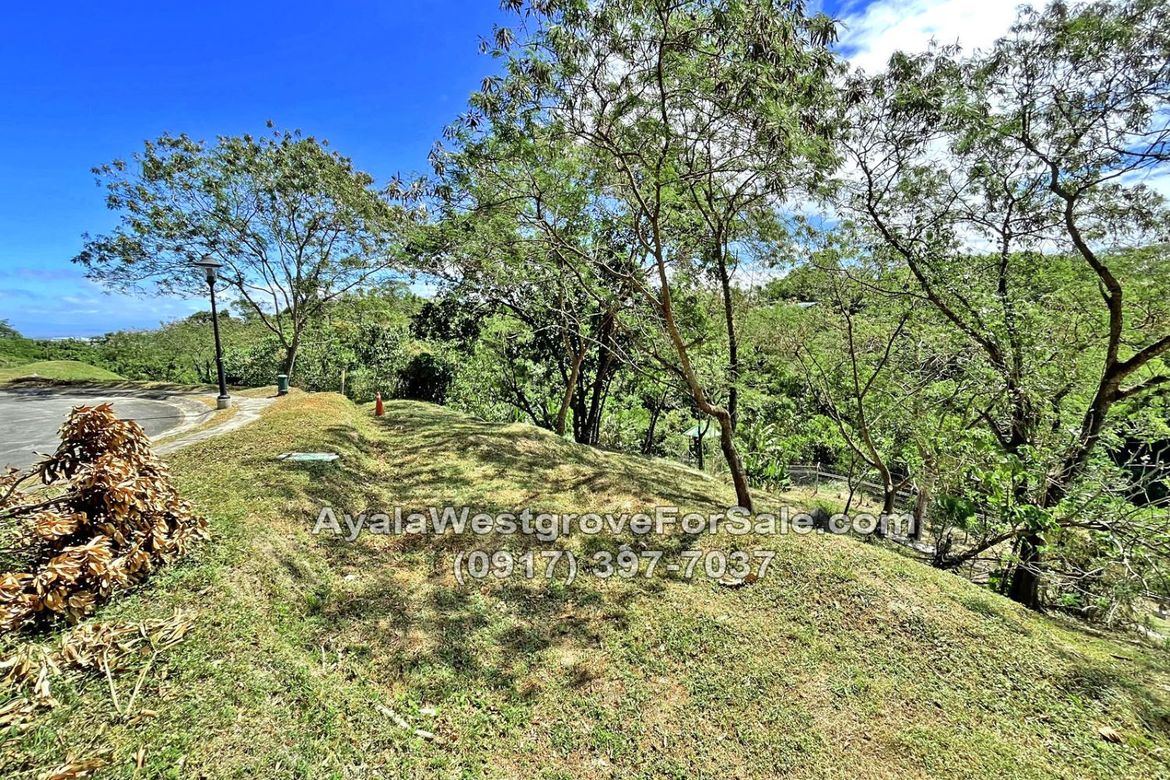 Land for Sale in Ayala Westgrove Heights, Inchican, Silang, Cavite – photo 6