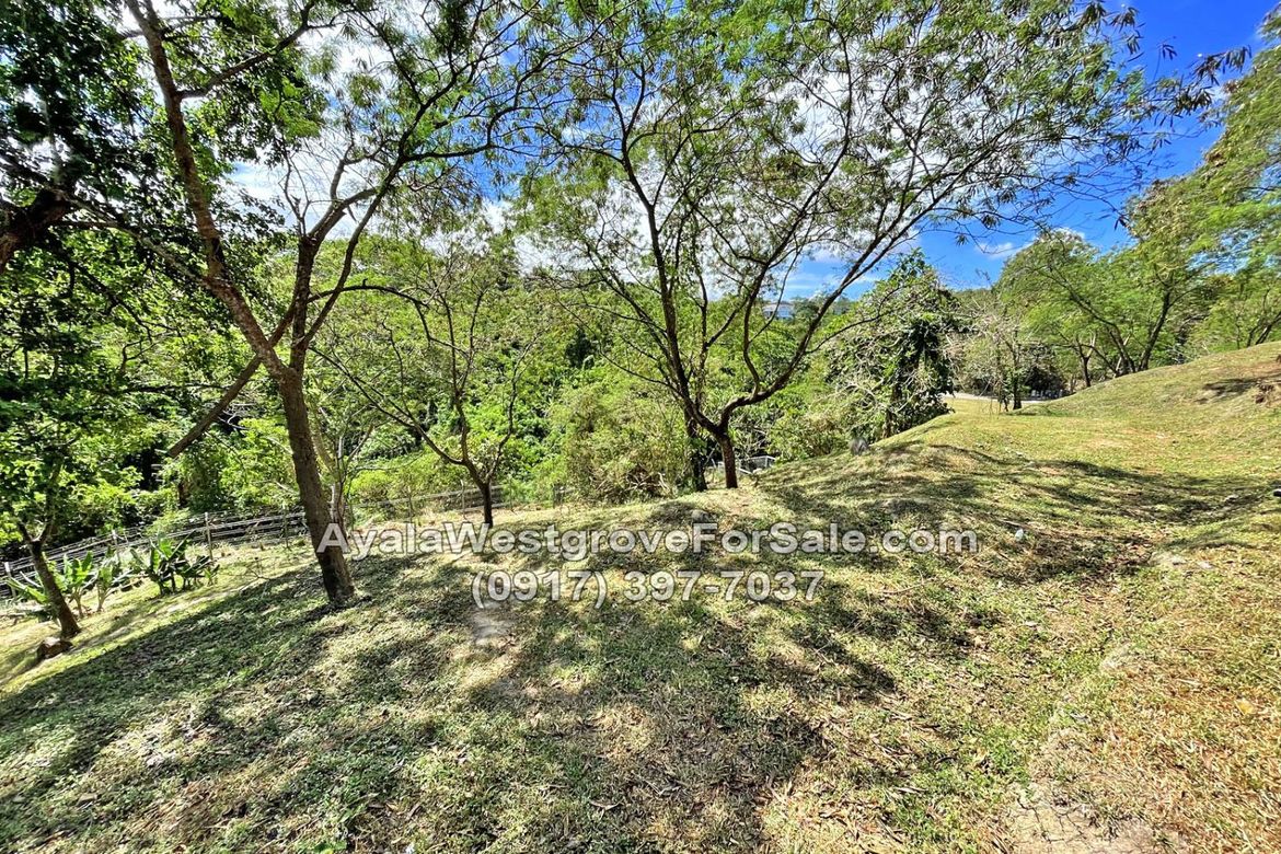 Land for Sale in Ayala Westgrove Heights, Inchican, Silang, Cavite – photo 7