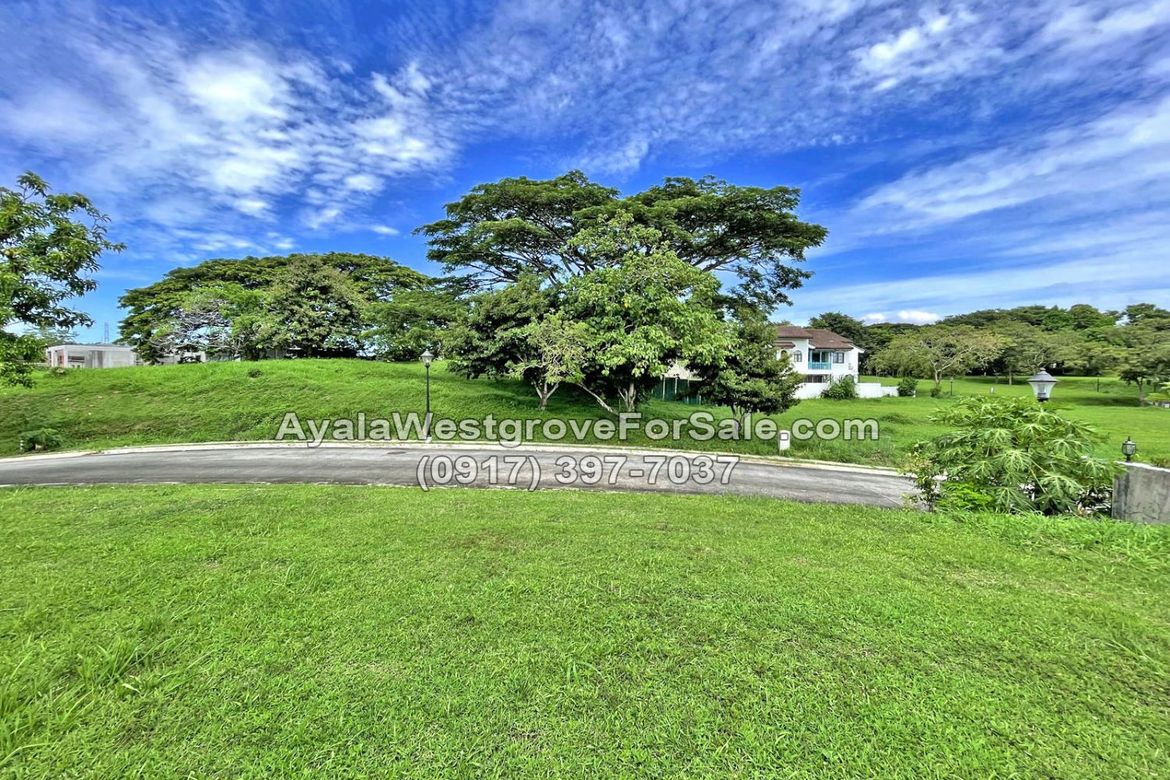 Land for Sale in Ayala Westgrove Heights, Inchican, Silang, Cavite – photo 2
