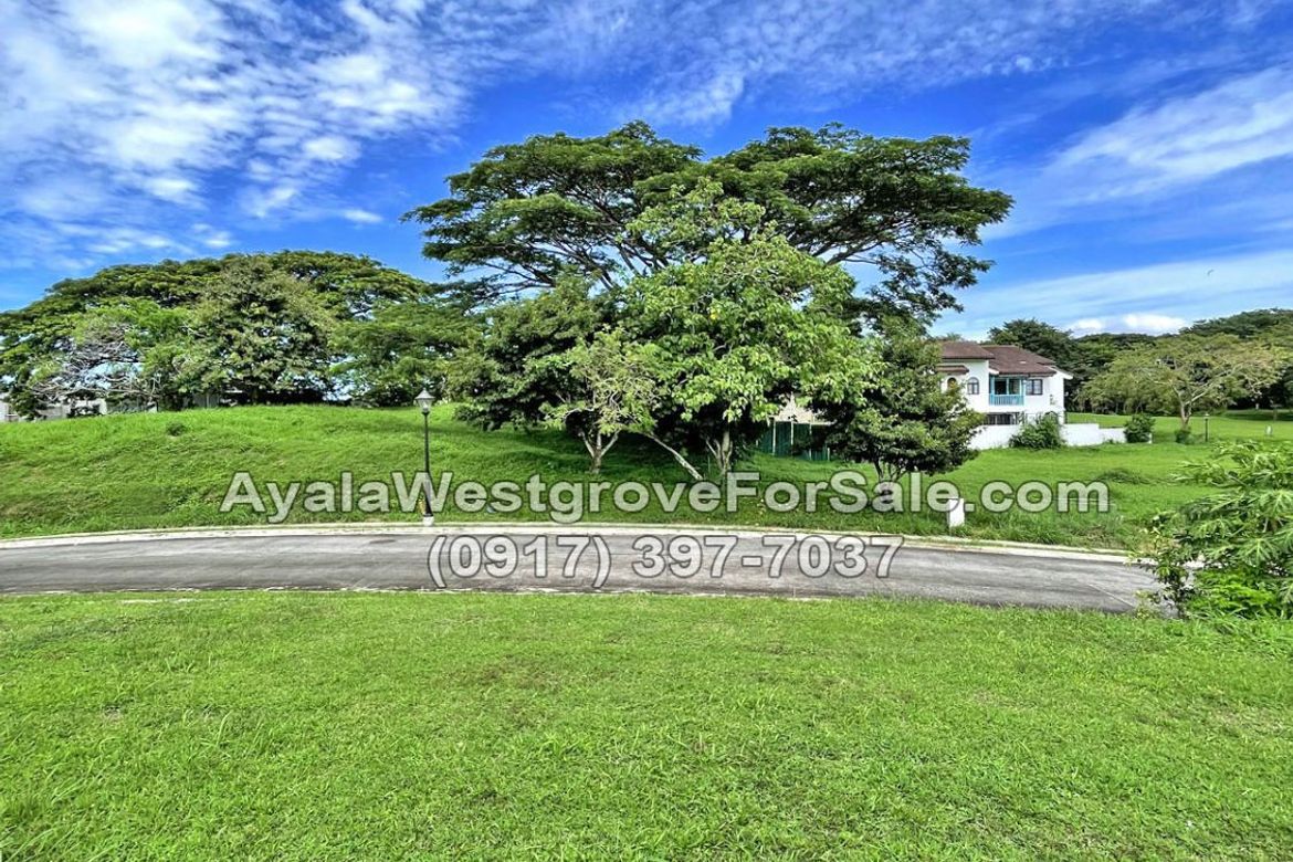 Land for Sale in Ayala Westgrove Heights, Inchican, Silang, Cavite – photo 5
