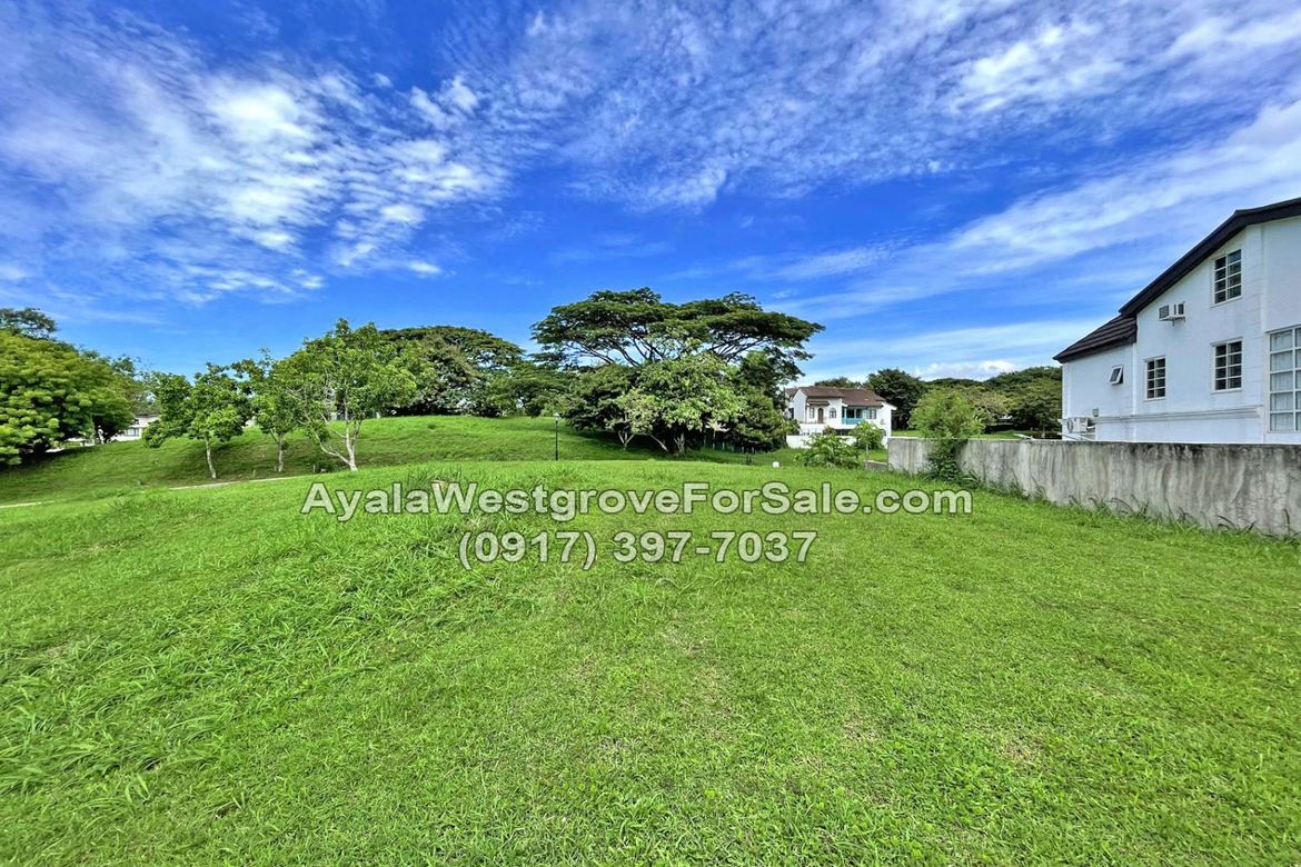 Land for Sale in Ayala Westgrove Heights, Inchican, Silang, Cavite – photo 7