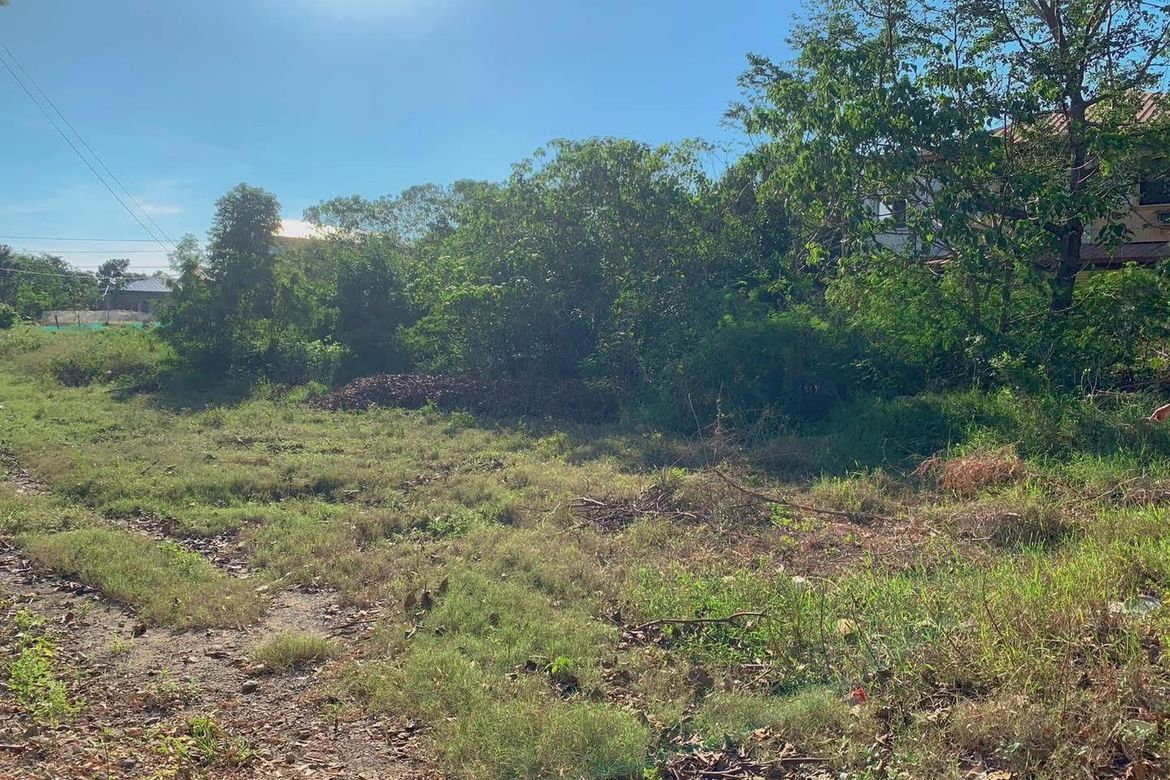 Land for Sale in Ayusan Norte, Vigan, Ilocos Sur – photo 2