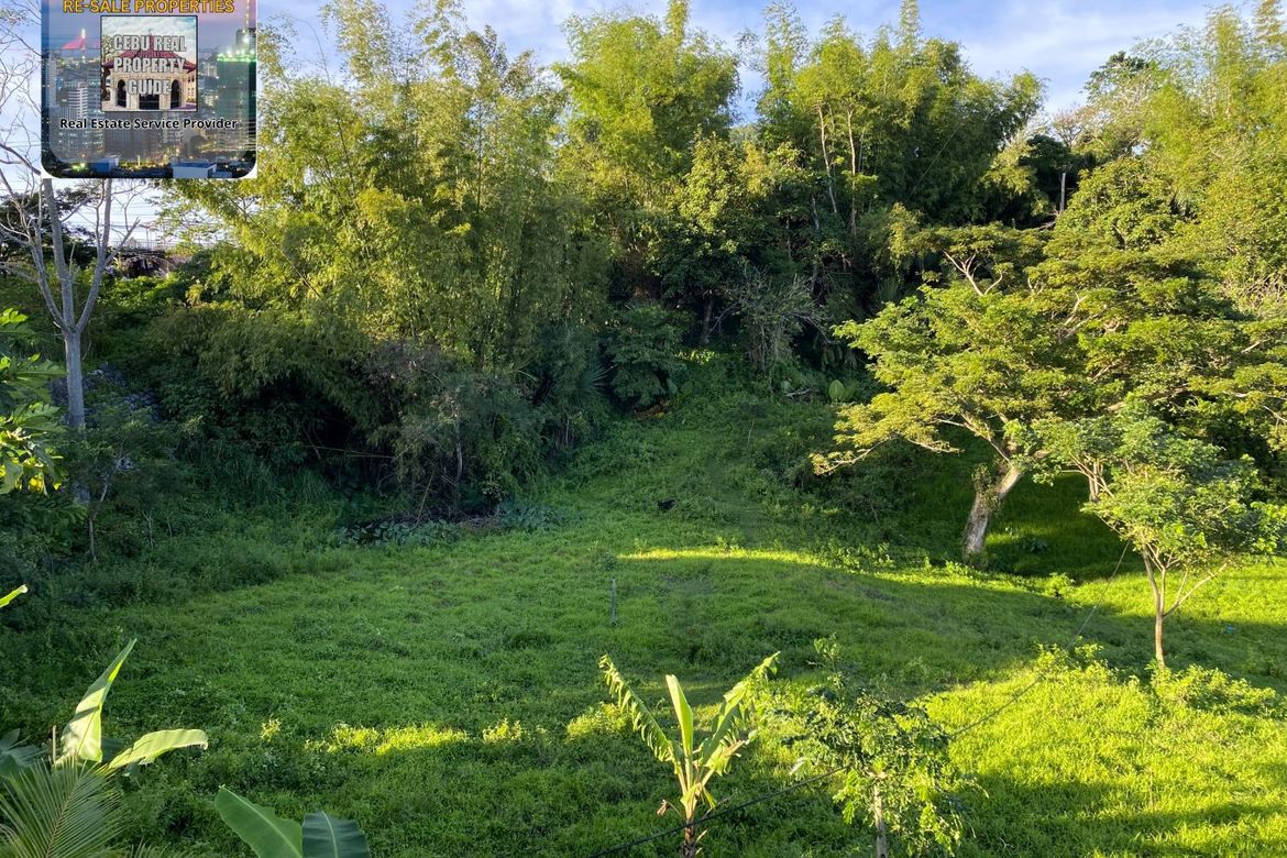 Land for Sale in Babag, Cebu City, Cebu – photo 3