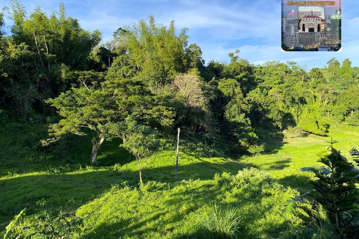 Land for Sale in Babag, Cebu City, Cebu – photo 4