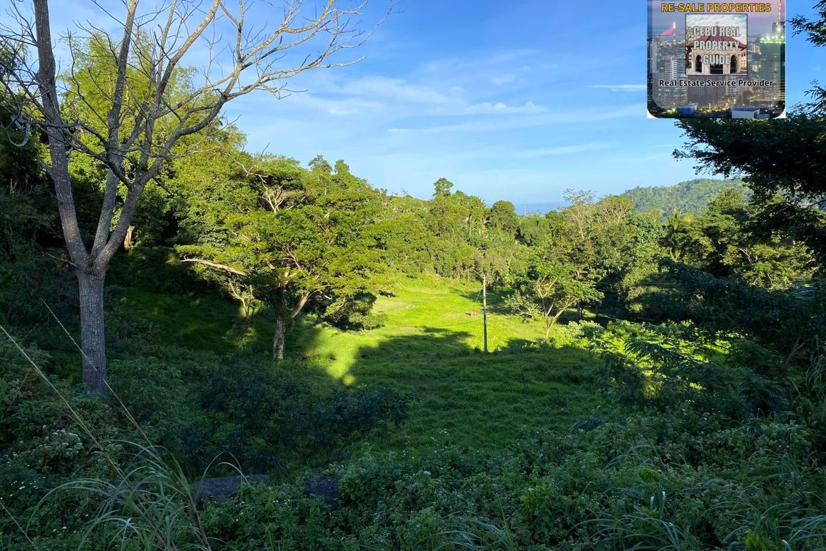Land for Sale in Babag, Cebu City, Cebu – photo 5