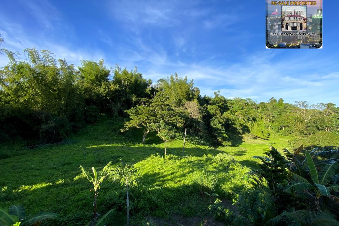 Land for Sale in Babag, Cebu City, Cebu – photo 8