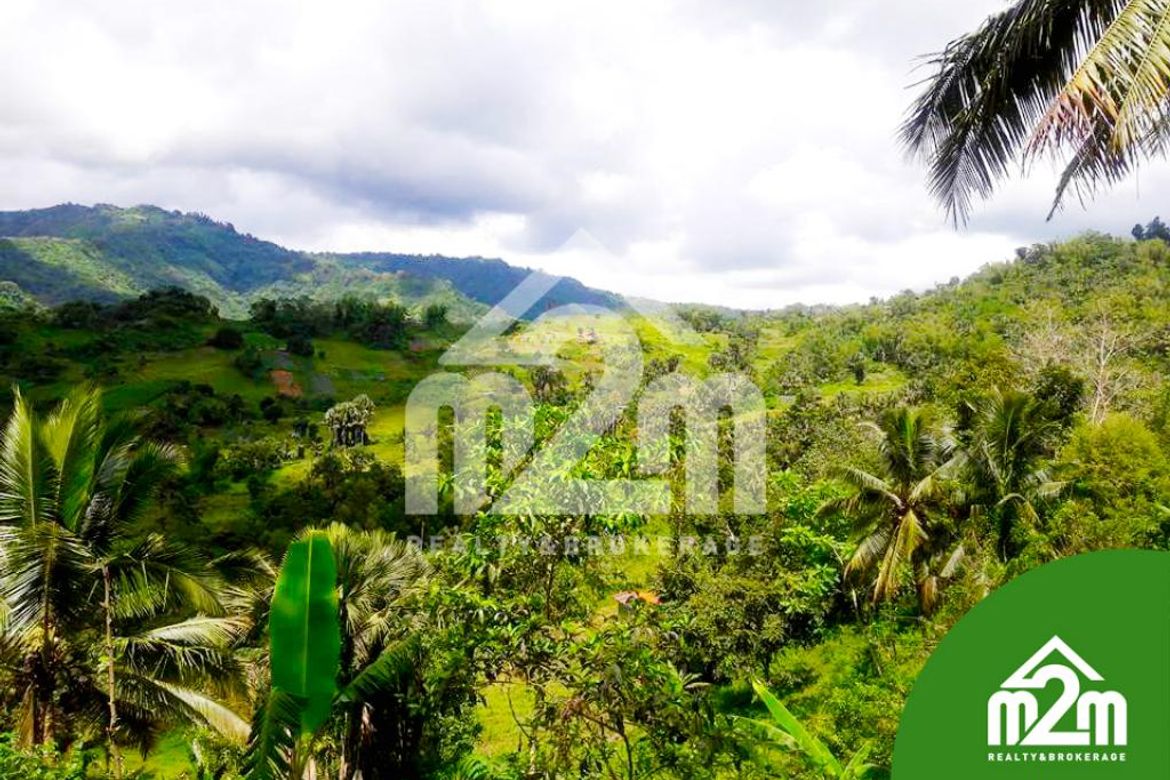 Land for Sale in Babag, Cebu City, Cebu – photo 2