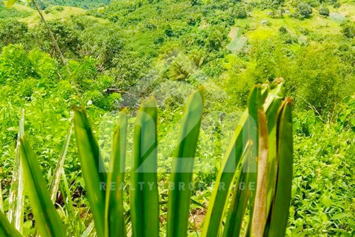 Land for Sale in Babag, Cebu City, Cebu
