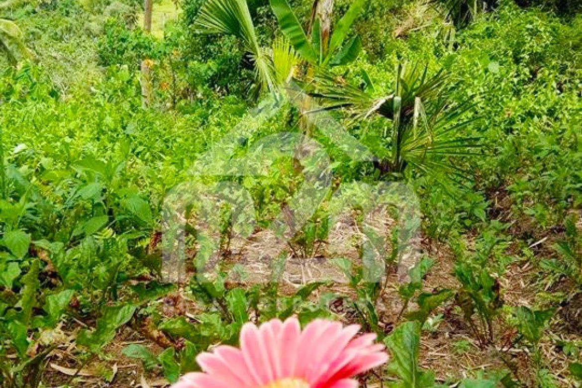 Land for Sale in Babag, Cebu City, Cebu – photo 2