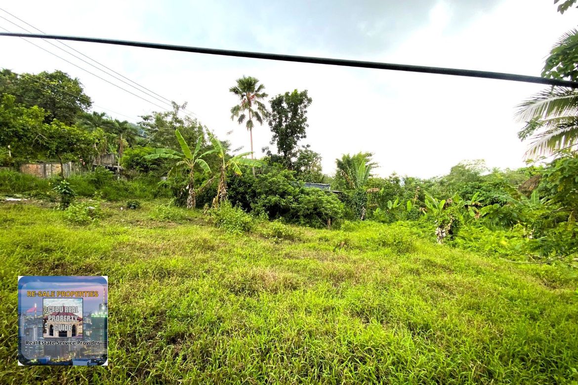 Land for Sale in Babag, Cebu City, Cebu – photo 4