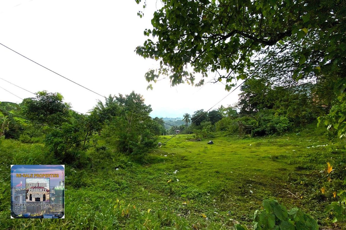 Land for Sale in Babag, Cebu City, Cebu – photo 7