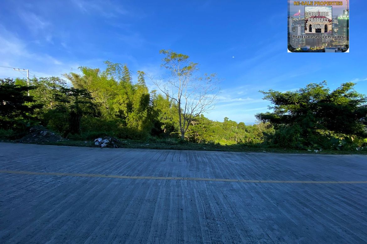 Land for Sale in Babag, Lapu-Lapu, Cebu – photo 2