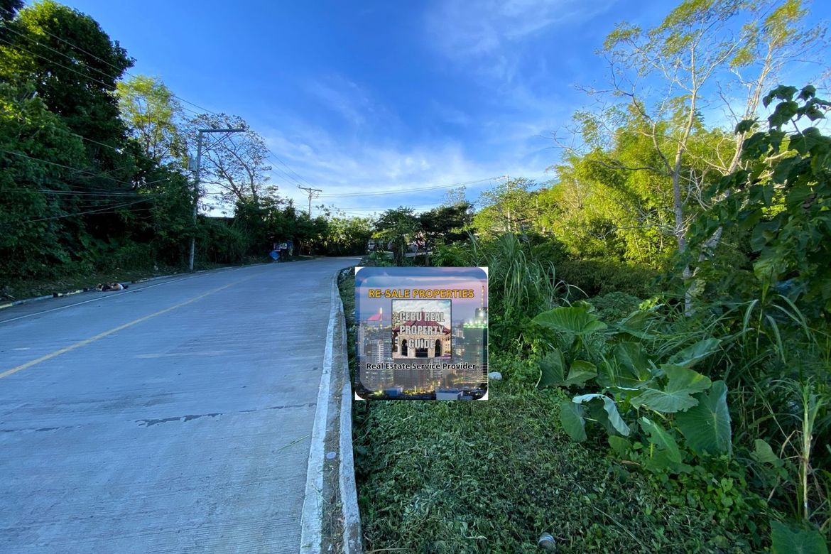 Land for Sale in Babag, Lapu-Lapu, Cebu – photo 6