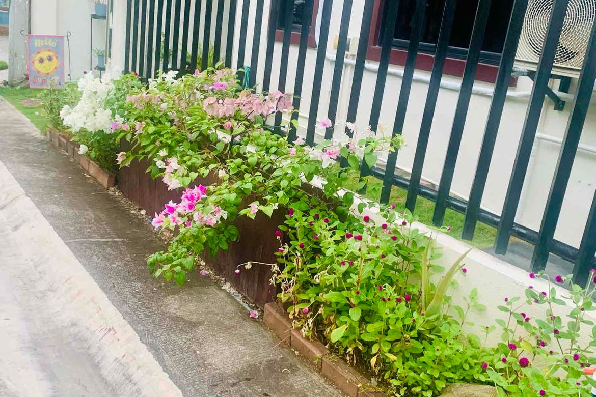 Land for Sale in Babag, Lapu-Lapu, Cebu – photo 4