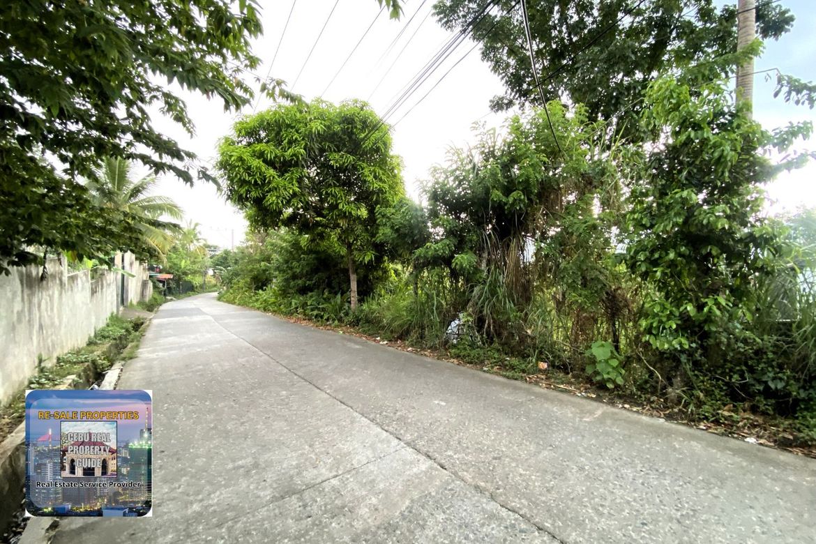 Land for Sale in Babag, Lapu-Lapu, Cebu