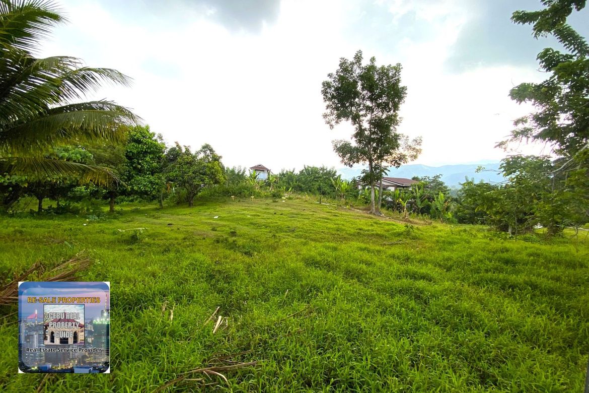 Land for Sale in Babag, Lapu-Lapu, Cebu – photo 2