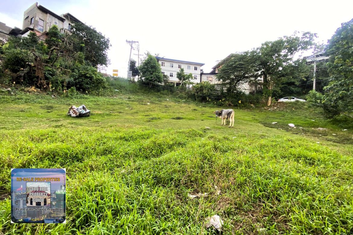 Land for Sale in Babag, Lapu-Lapu, Cebu – photo 5