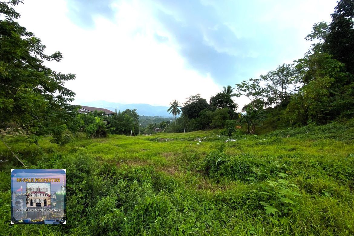 Land for Sale in Babag, Lapu-Lapu, Cebu – photo 7