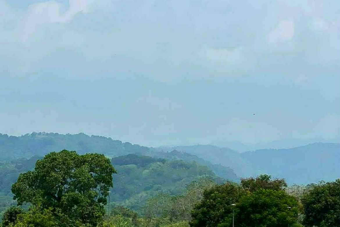 Land for Sale in Babo Sacan, Porac, Pampanga – photo 4