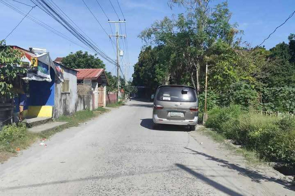 Land for Sale in Babo Sacan, Porac, Pampanga – photo 4