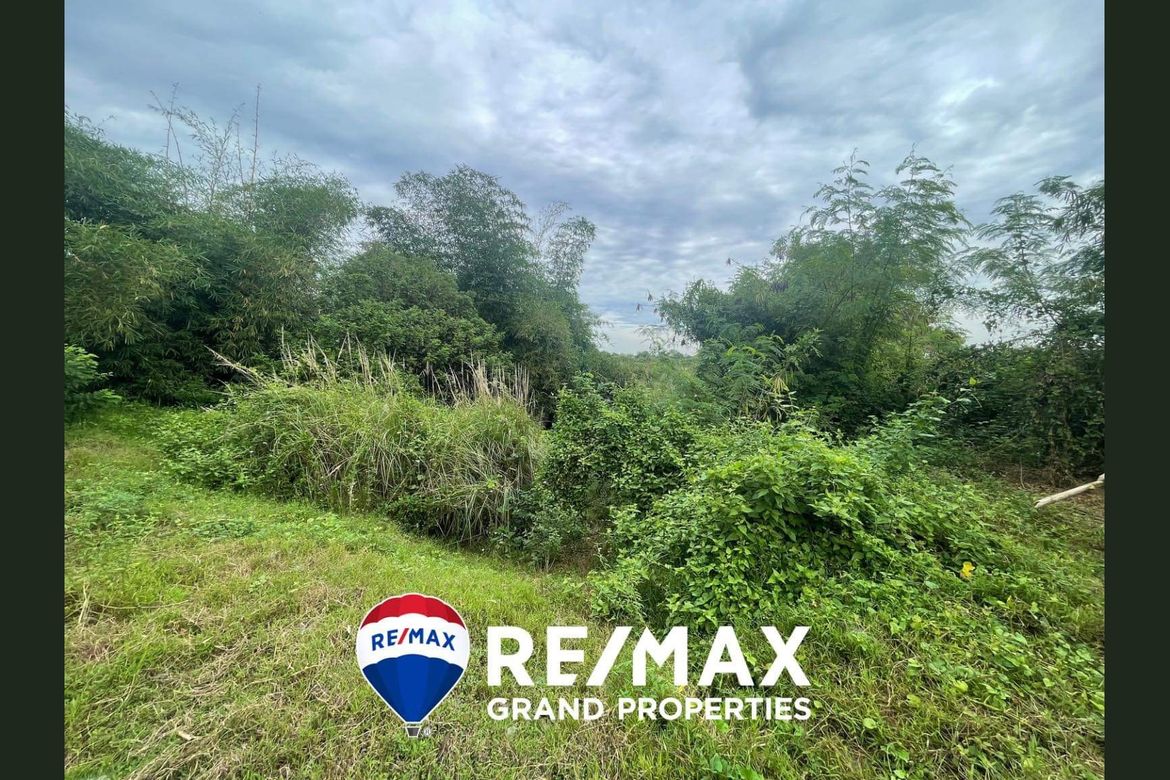 Land for Sale in Babo Sacan, Porac, Pampanga – photo 5