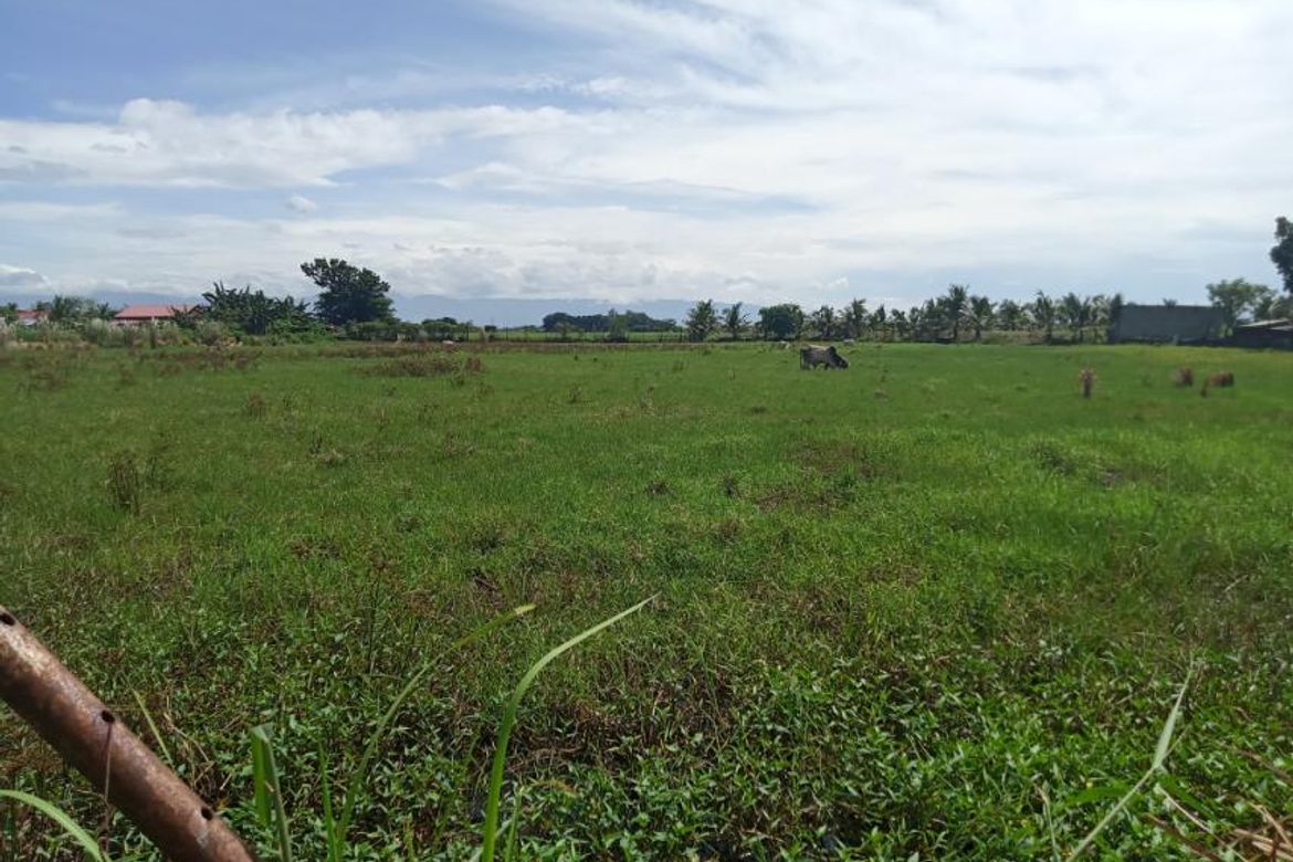 Land for Sale in Bacag, Villasis, Pangasinan – photo 5
