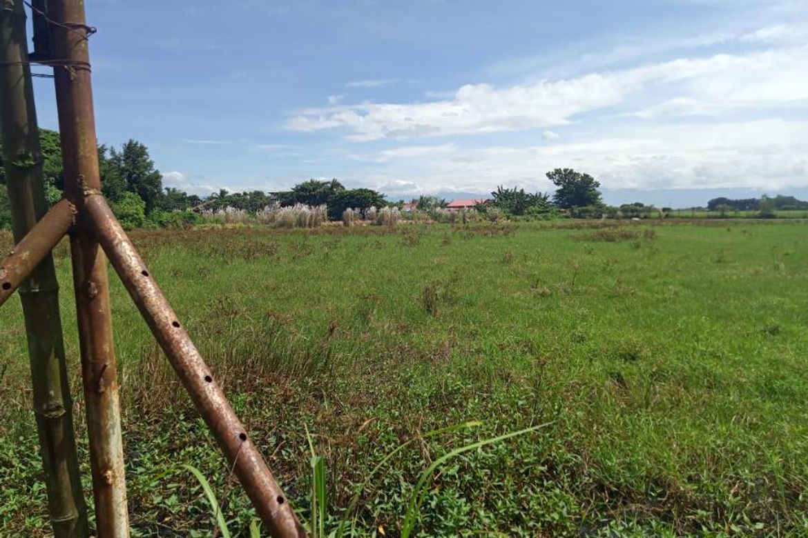 Land for Sale in Bacag, Villasis, Pangasinan – photo 6