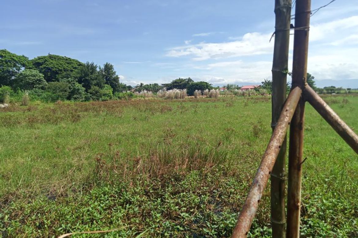 Land for Sale in Bacag, Villasis, Pangasinan – photo 7