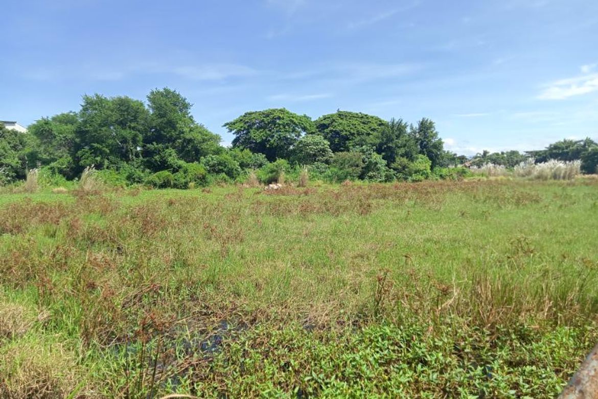 Land for Sale in Bacag, Villasis, Pangasinan – photo 8
