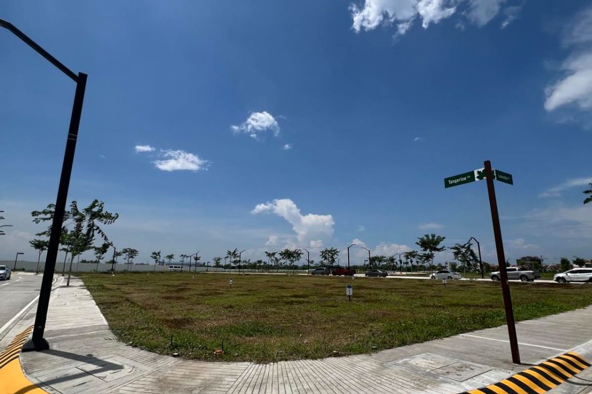 Land for Sale in Bacao I, General Trias, Cavite – photo 2