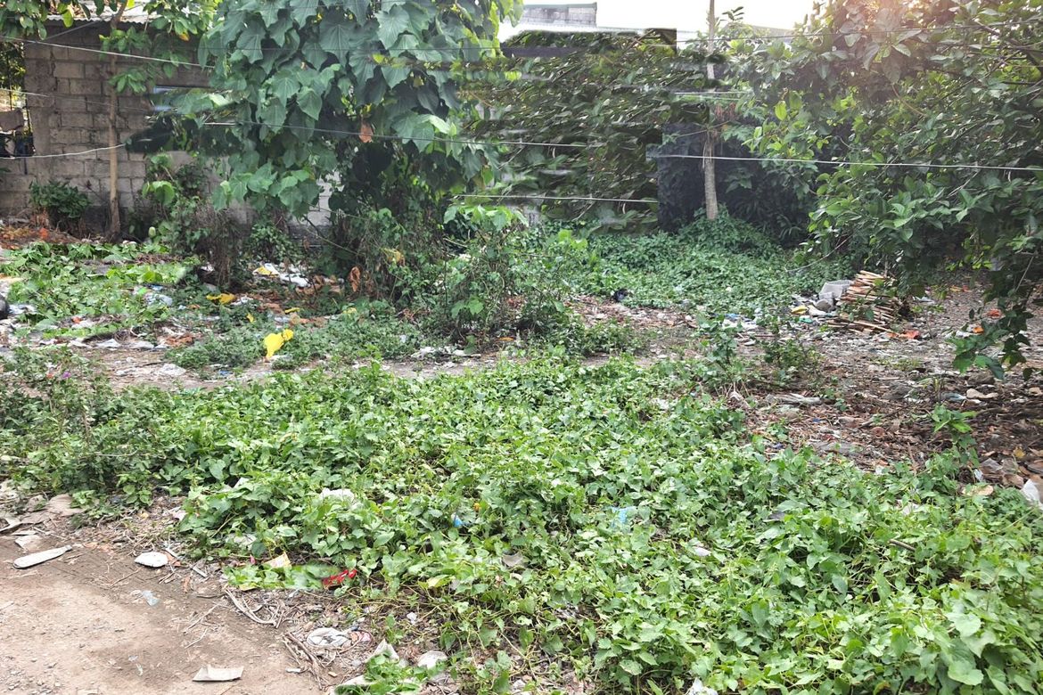 Land for Sale in Bacao II, General Trias, Cavite – photo 2