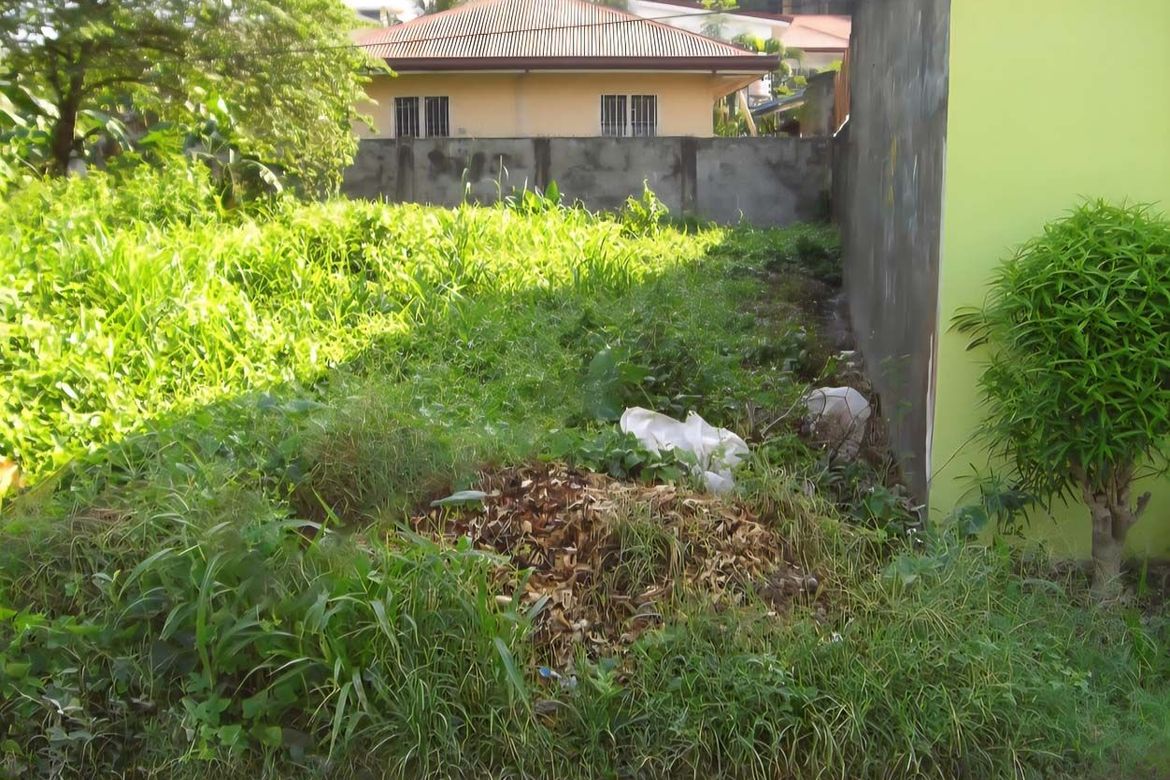 Land for Sale in Bacayan, Cebu City, Cebu – photo 4