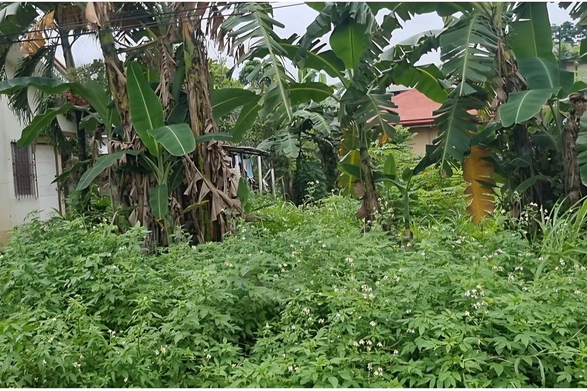 Land for Sale in Bacayan, Cebu City, Cebu – photo 6