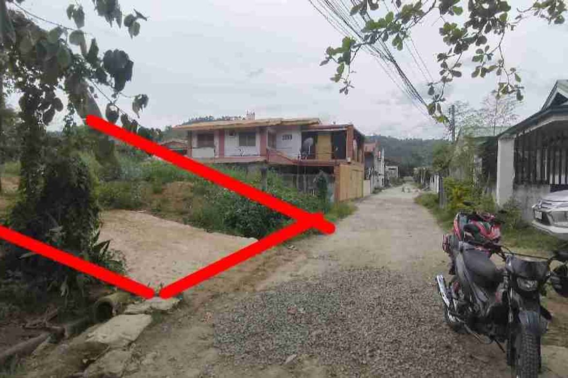 Land for Sale in Bacayan, Cebu City, Cebu – photo 2