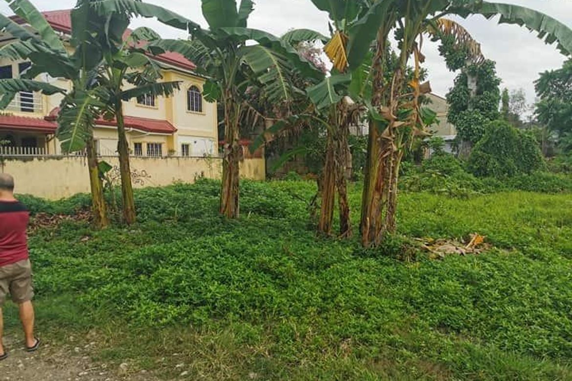 Land for Sale in Bacayan, Cebu City, Cebu
