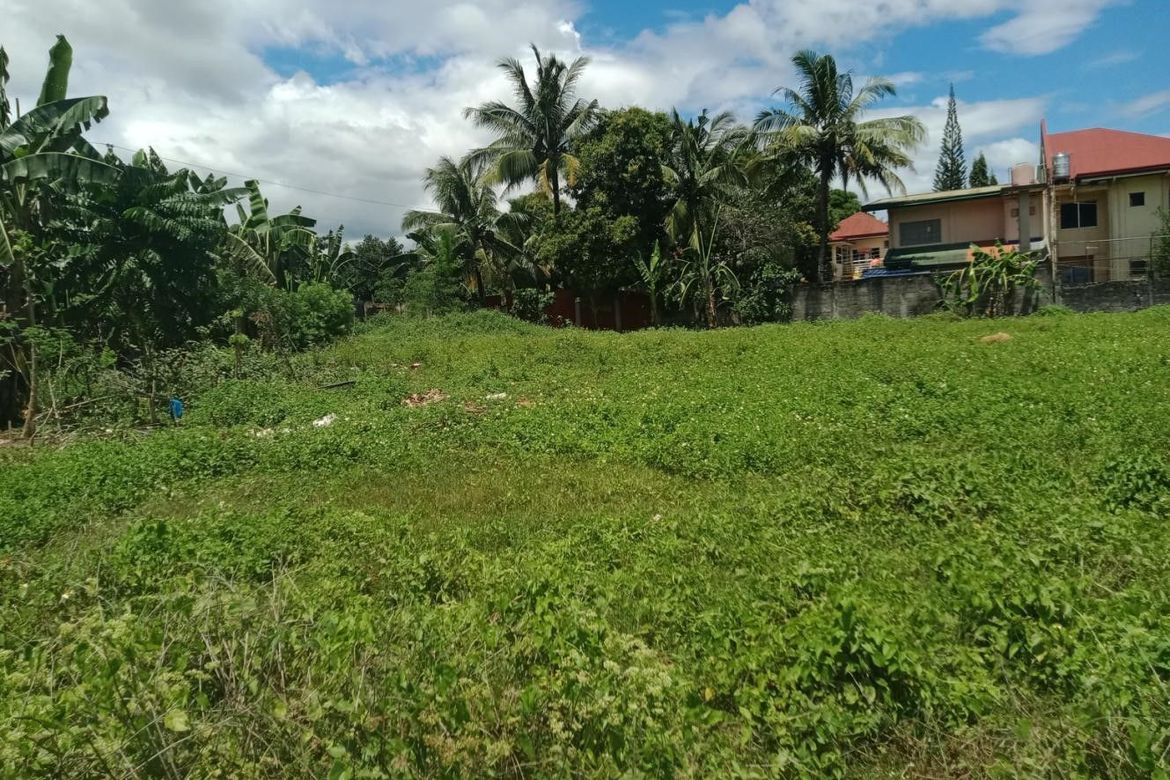 Land for Sale in Bacayan, Cebu City, Cebu – photo 7