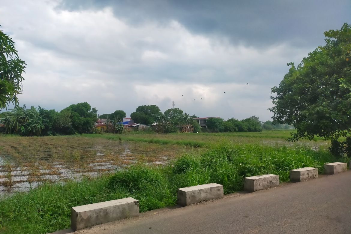 Land for Sale in Baclaran, Cabuyao, Laguna – photo 2