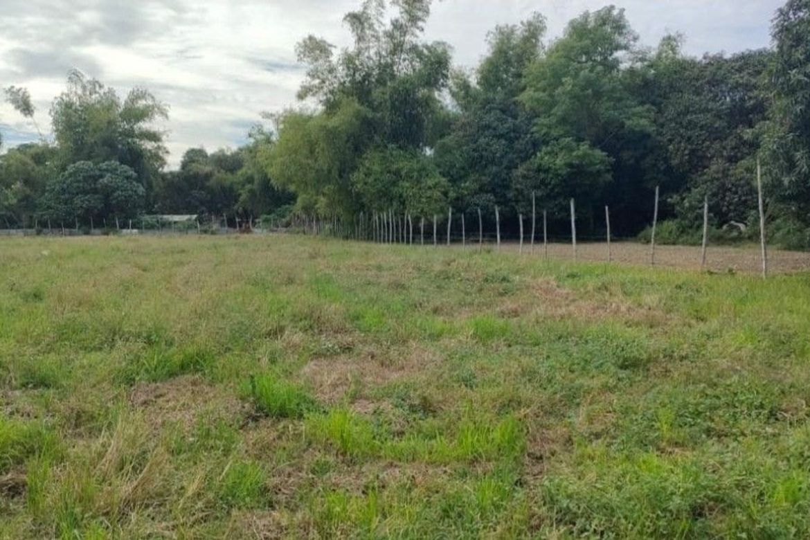 Land for Sale in Bacnar, San Carlos, Pangasinan – photo 3