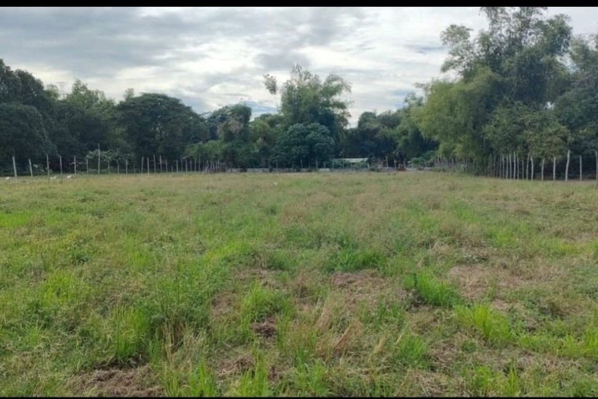 Land for Sale in Bacnar, San Carlos, Pangasinan – photo 6