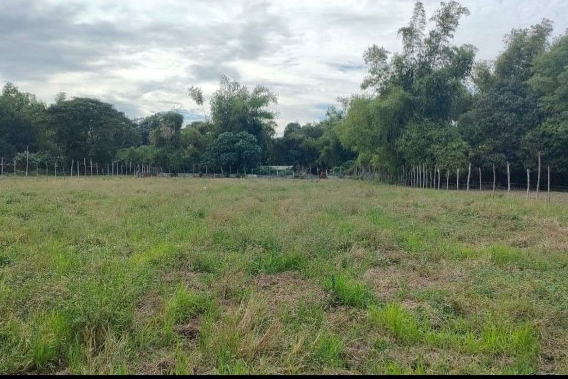 Land for Sale in Bacnar, San Carlos, Pangasinan – photo 7