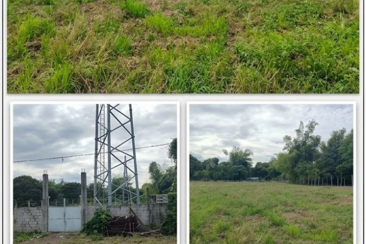 Land for Sale in Bacnar, San Carlos, Pangasinan – photo 8