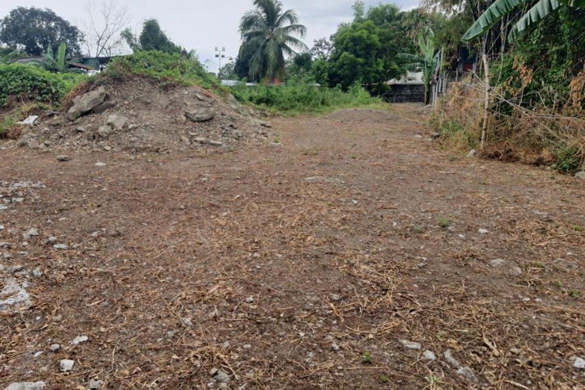 Land for Sale in Bacoor, Cavite – photo 2