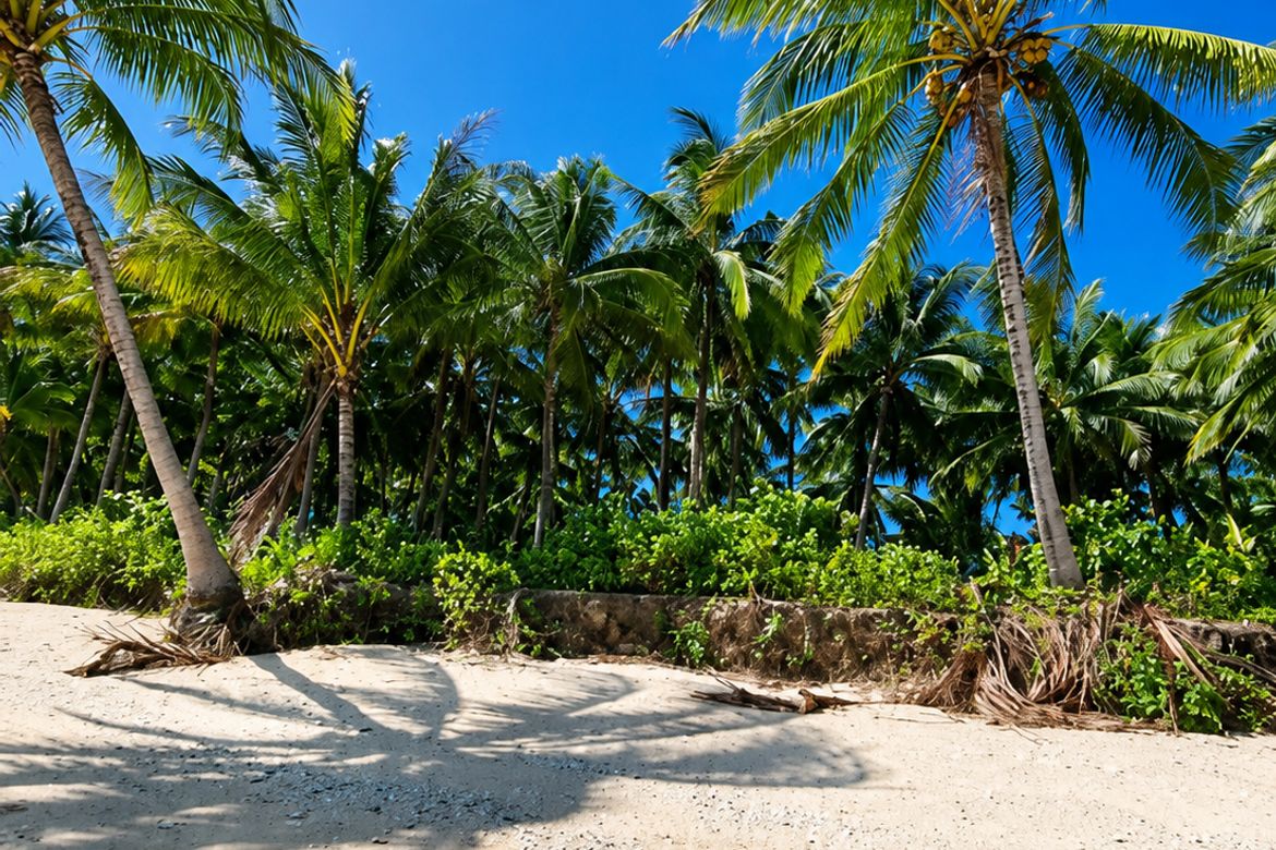 Land for Sale in Baculin, Baganga, Davao Oriental – photo 3