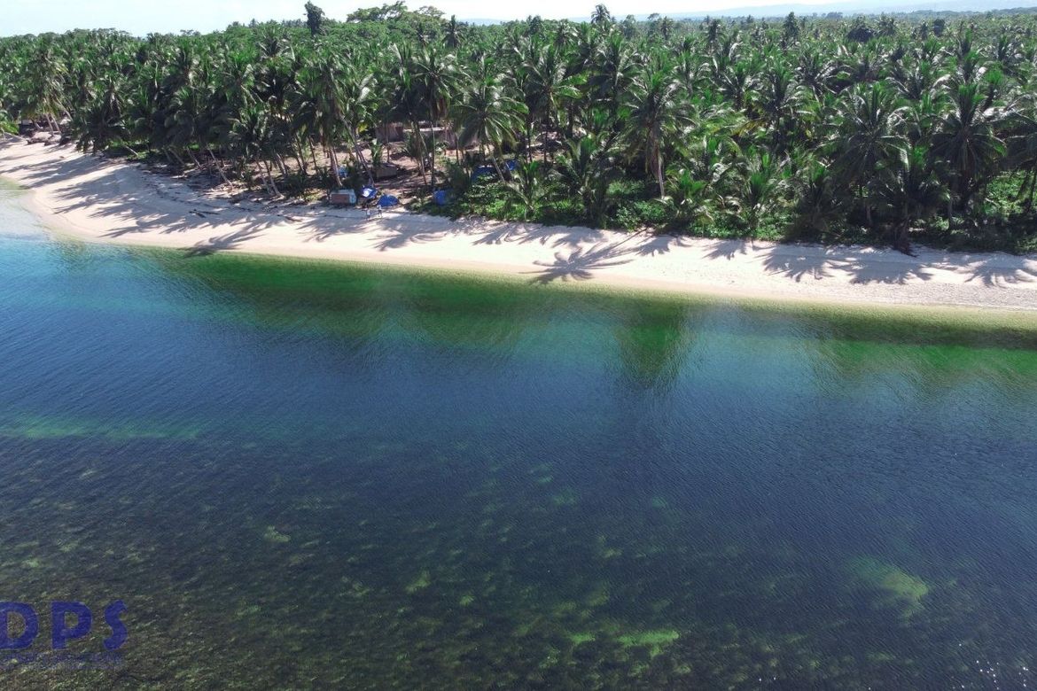 Land for Sale in Baculin, Baganga, Davao Oriental – photo 5