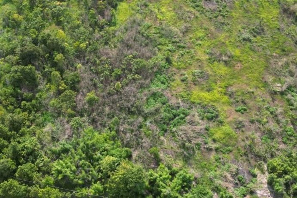 Land for Sale in Bacungan, Puerto Princesa, Palawan – photo 4